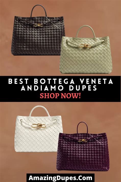 bottega veneta loop bag dupe|bottega veneta andiamo bag dupe.